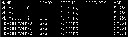 Verify pods are running Verify pods are running
